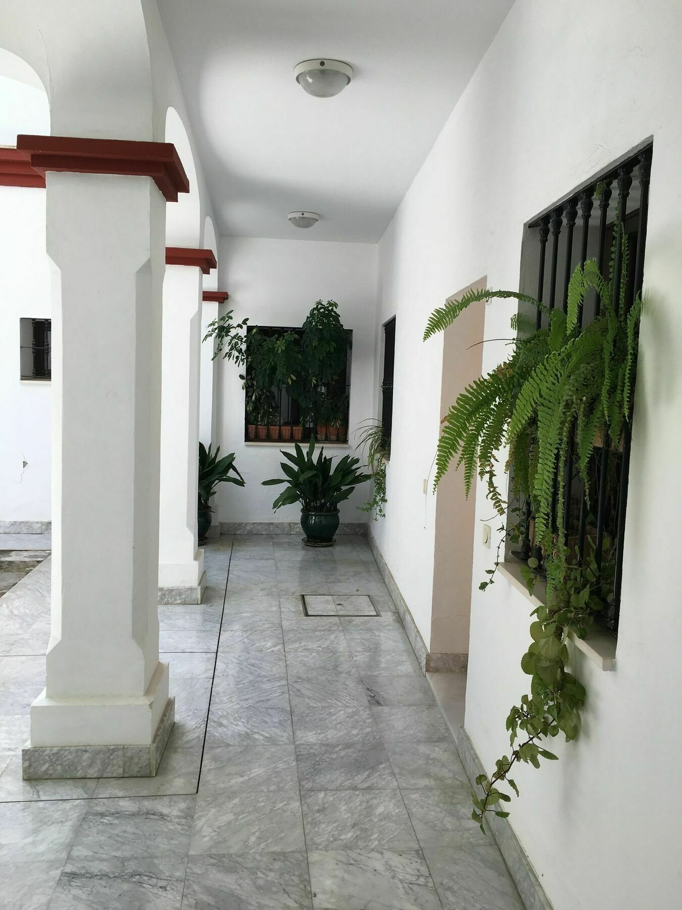 Teodosio Apartment Free Parking & Central Ac Siviglia Esterno foto